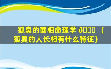 狐臭的面相命理学 🐛 （狐臭的人长相有什么特征）